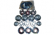 P41/48-180 Valve Kit