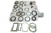 MS55 Pump Seal Kit